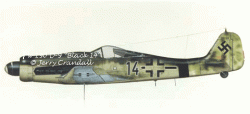 Fw 190 D-9 "Black 14"-0