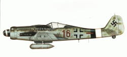Fw 190 D-9 "Brown 16"-0