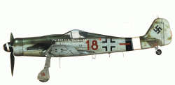 Fw 190 D-9 "Brown 18"-0