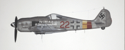 Fw 190 A-9 "Red 22" JG 301-0