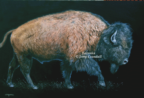 Tatanka oil by Jerry Crandall-0