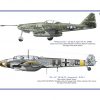 Wings of the Black Cross #11-3140