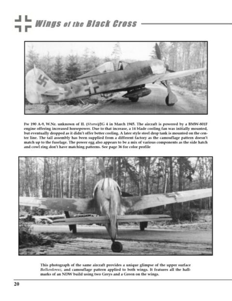 WINGS OF THE BLACK CROSS #15 - Image 4