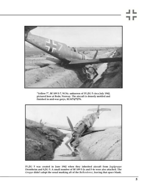 WINGS OF THE BLACK CROSS #15 - Image 2