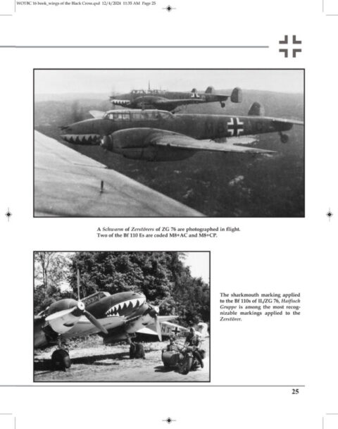 WINGS OF THE BLACK CROSS #16 - Image 6