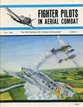 Fighter Pilots in Aerial Combat Number 14