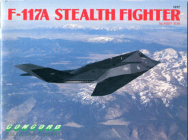 F-117A Stealth Fighter - Sun