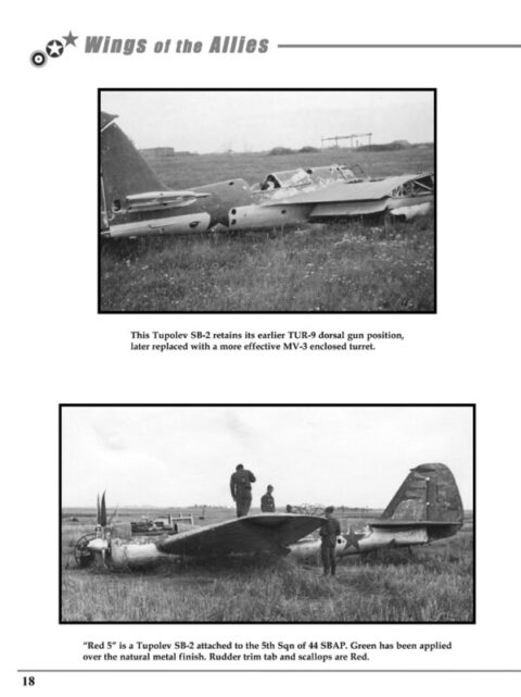 WINGS OF THE ALLIES  The European Air War Volume Two - Image 5