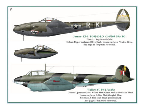 WINGS OF THE ALLIES  The European Air War Volume Two - Image 2