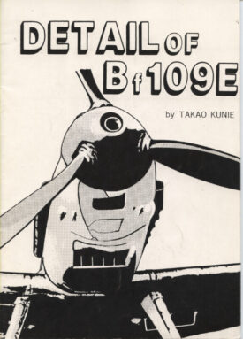Detail of Bf 109 E ~ Kunie