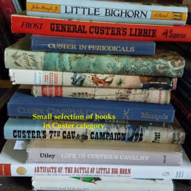 George Custer, life, Cavalry career & the Little Big Horn