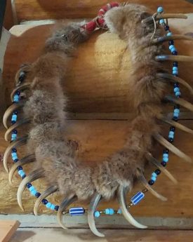 Grizzly claw necklace